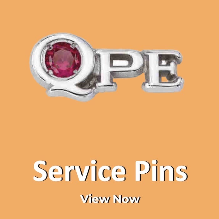 Service Pins view now button